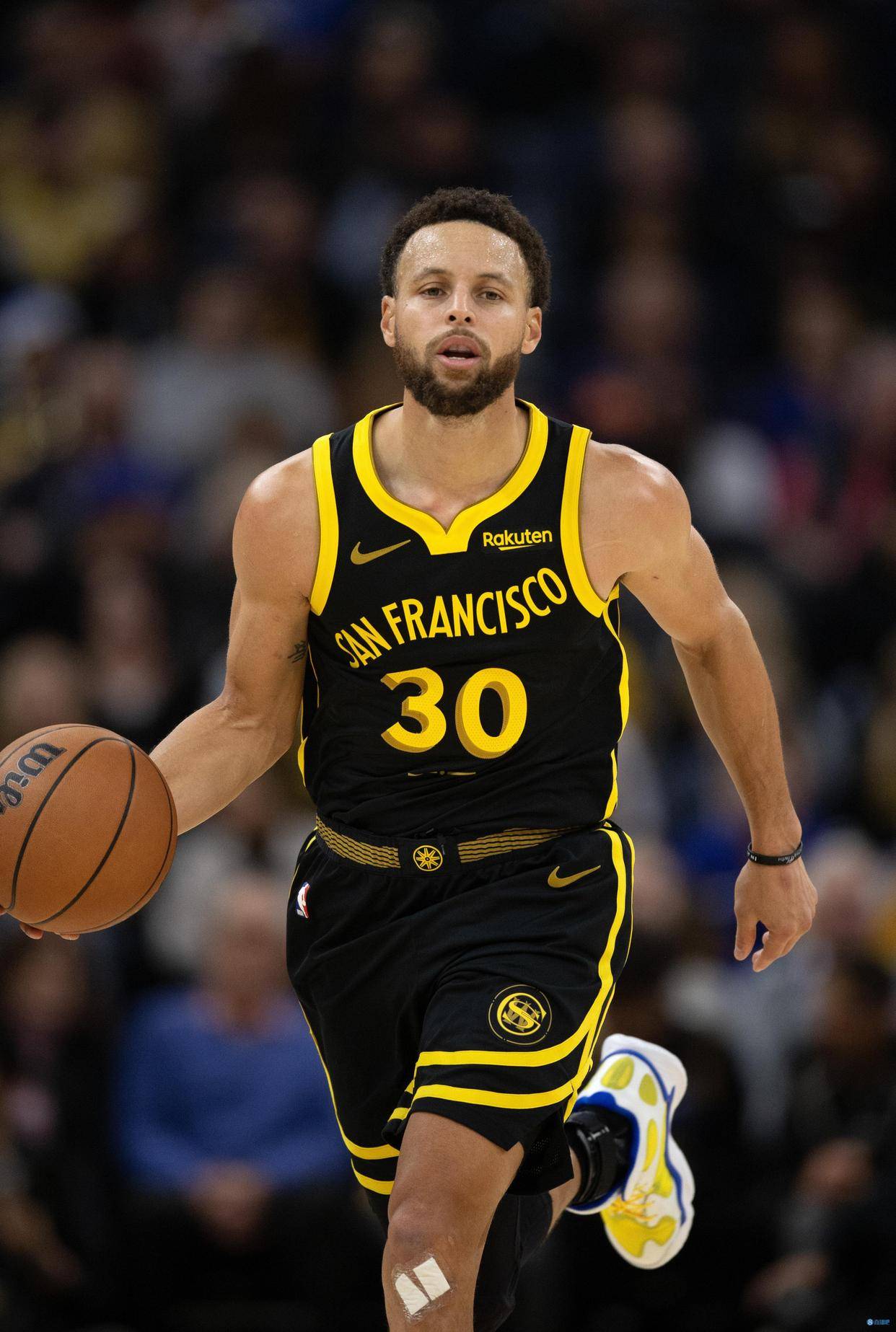 偏向庄注 偏向庄注